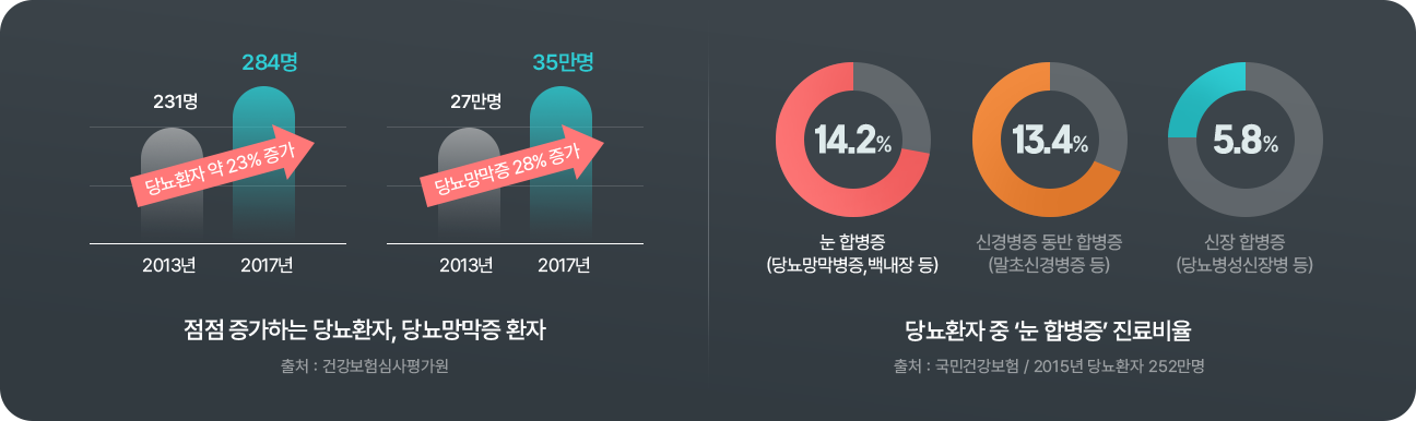 당뇨망막증 환자 증가 그래프