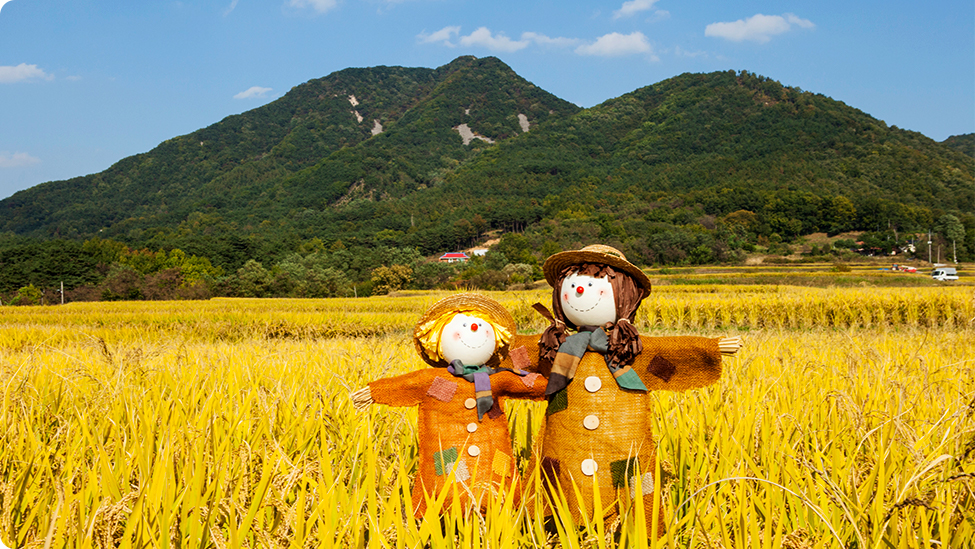 정상시야